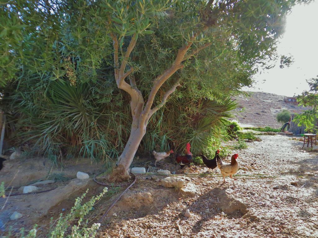 Succah In The Desert Mitzpe Ramon Exterior photo