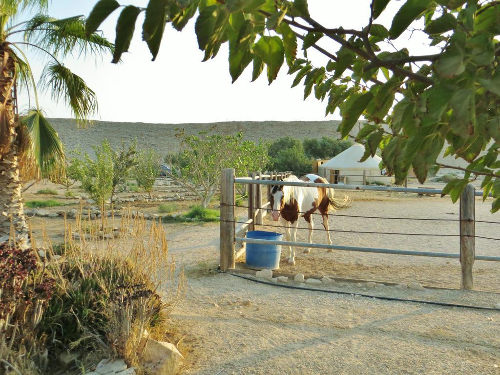 Succah In The Desert Mitzpe Ramon Exterior photo