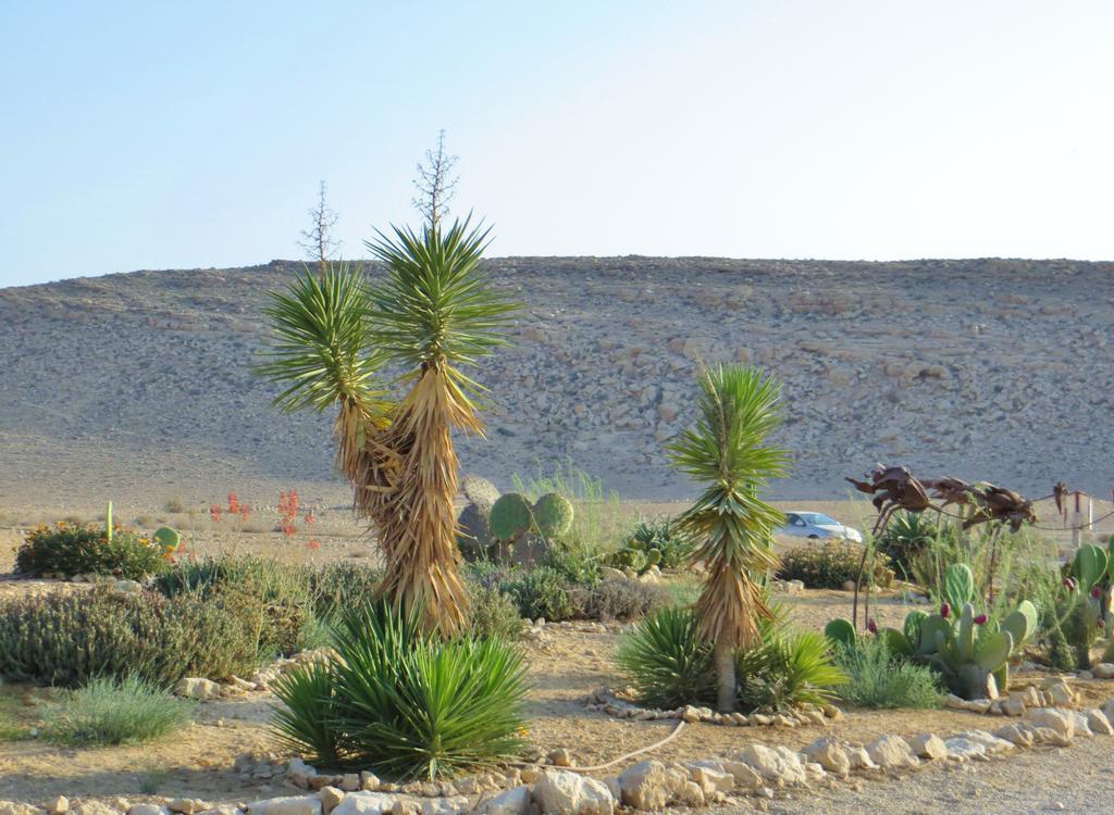 Succah In The Desert Mitzpe Ramon Exterior photo