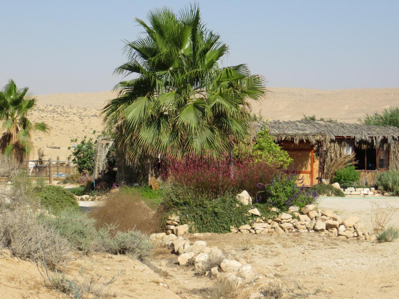 Succah In The Desert Mitzpe Ramon Exterior photo