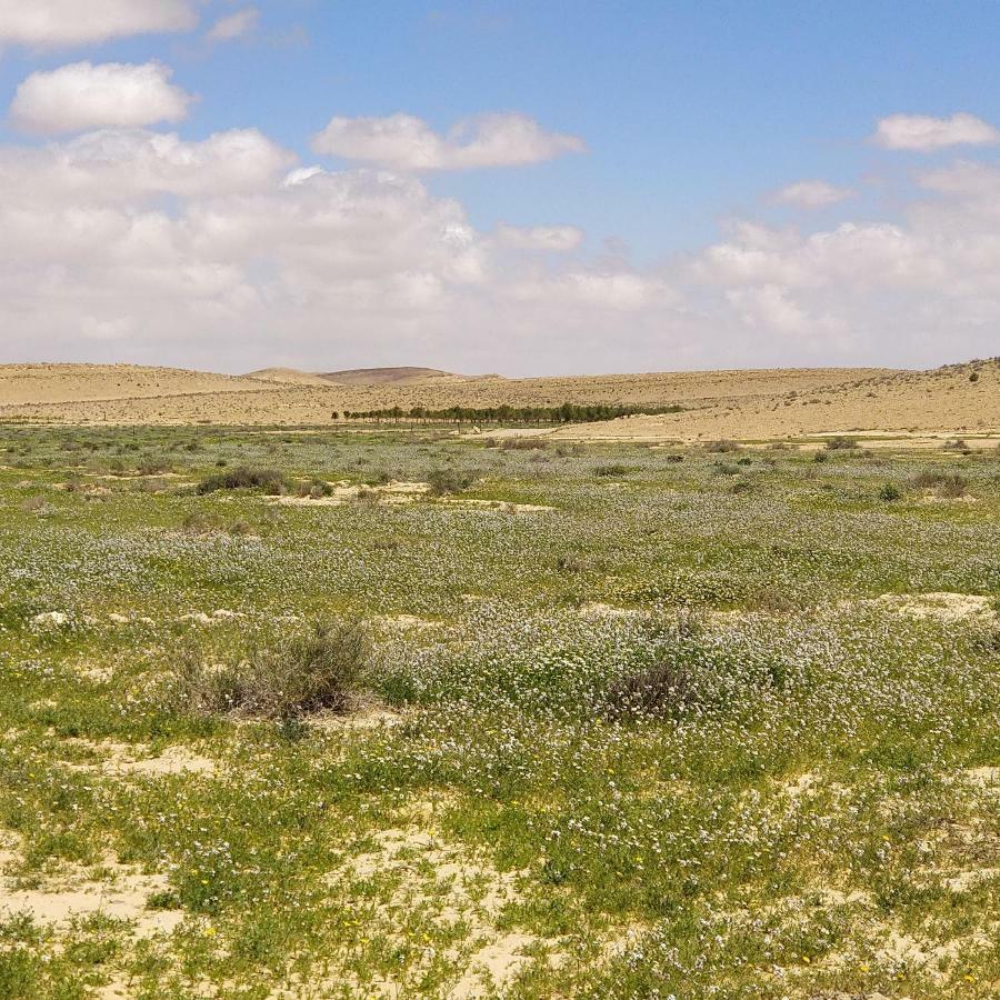 Succah In The Desert Mitzpe Ramon Exterior photo